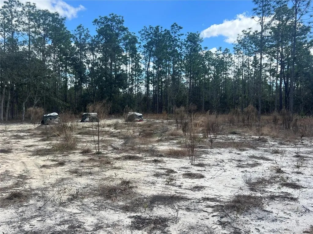0000 SE 135th Court SE Dunnellon FL 34431