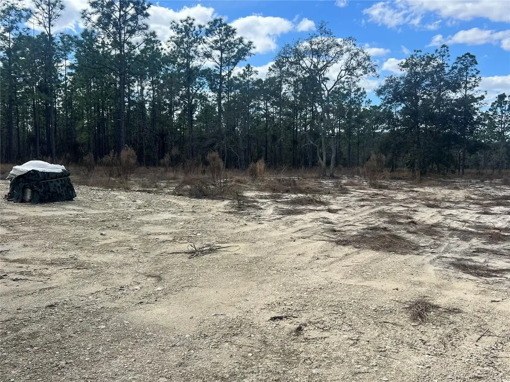 0000 SE 135th Court SE Dunnellon FL 34431