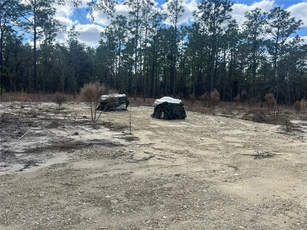 0000 SE 135th Court SE Dunnellon FL 34431