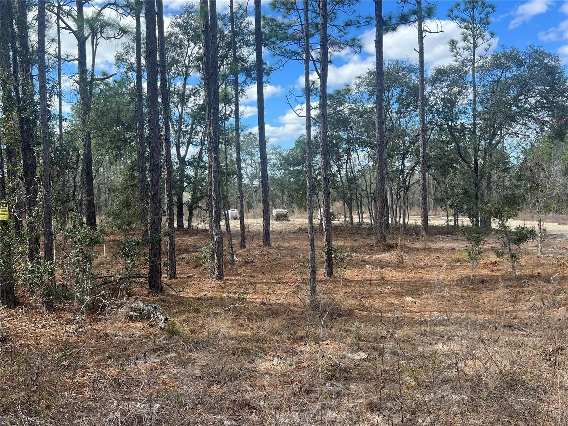 0000 SE 135th Court SE Dunnellon FL 34431