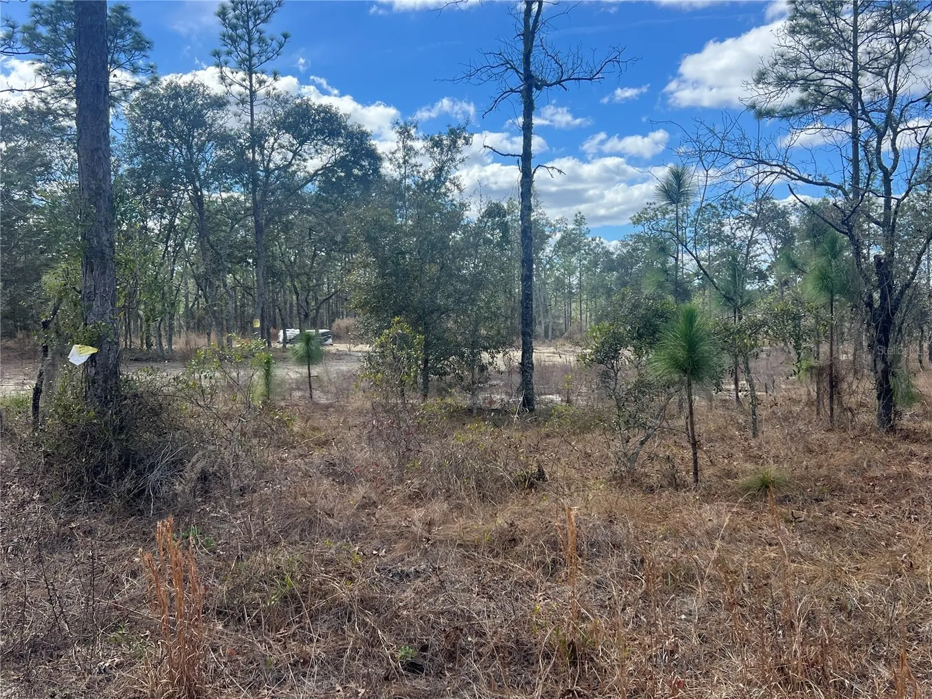 0000 SE 135th Court SE Dunnellon FL 34431