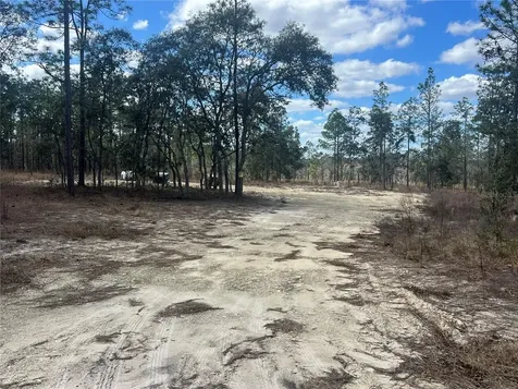 0000 SE 135th Court SE Dunnellon FL 34431