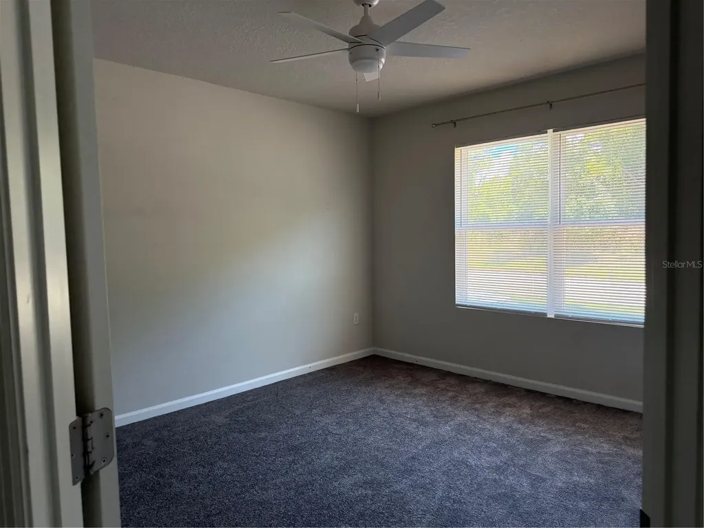 12316 Grizzly Lane New Port Richey FL 34654