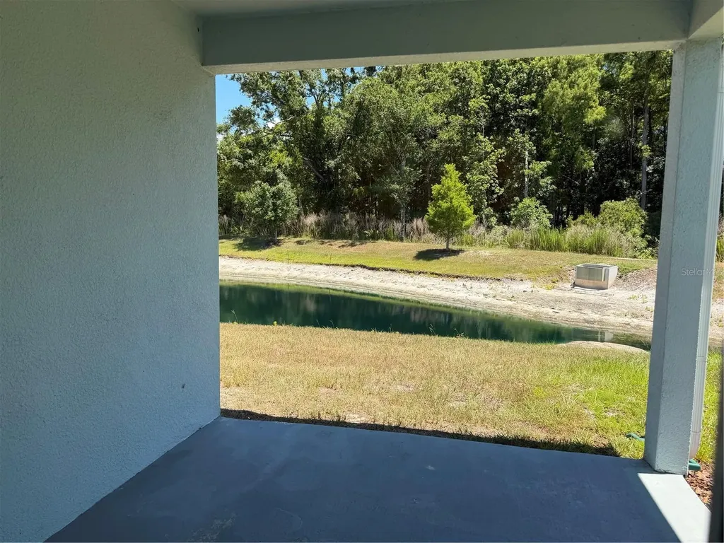 12316 Grizzly Lane New Port Richey FL 34654