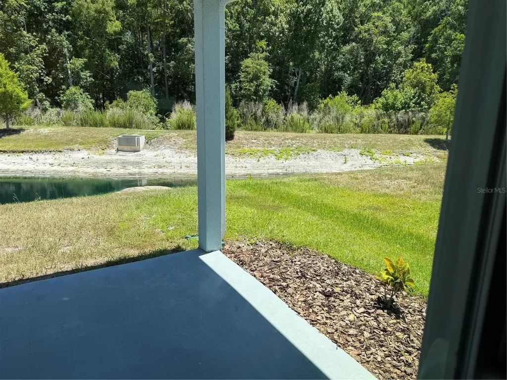 12316 Grizzly Lane New Port Richey FL 34654