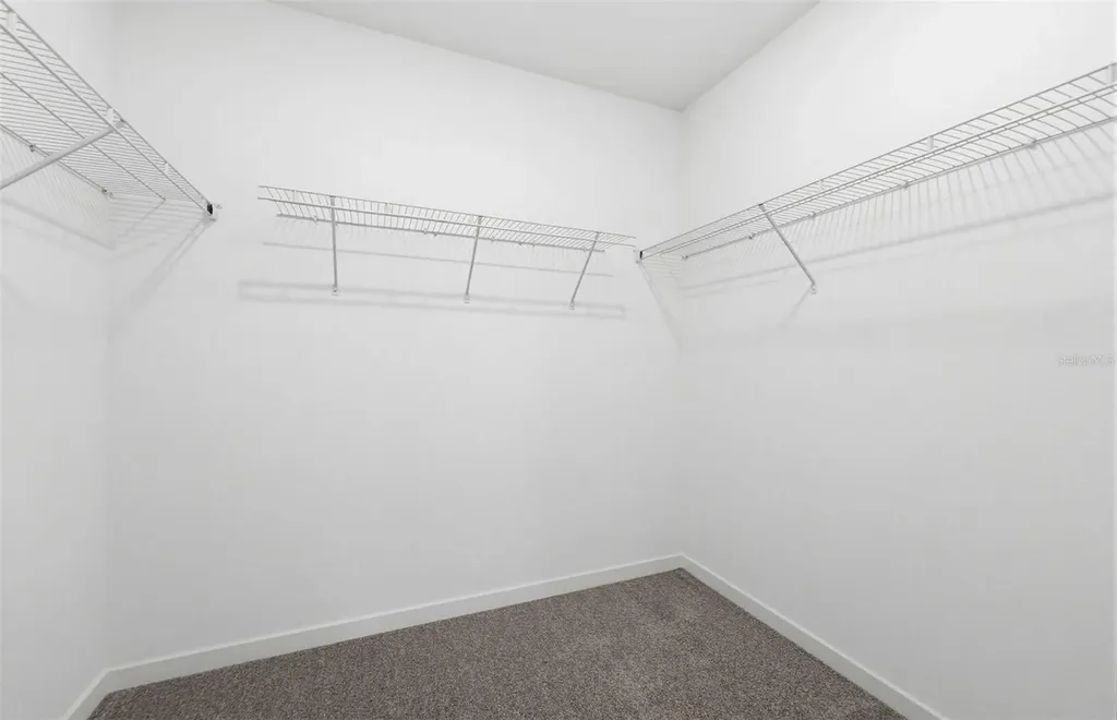 33391 Binding Ties Lane Wesley Chapel FL 33545