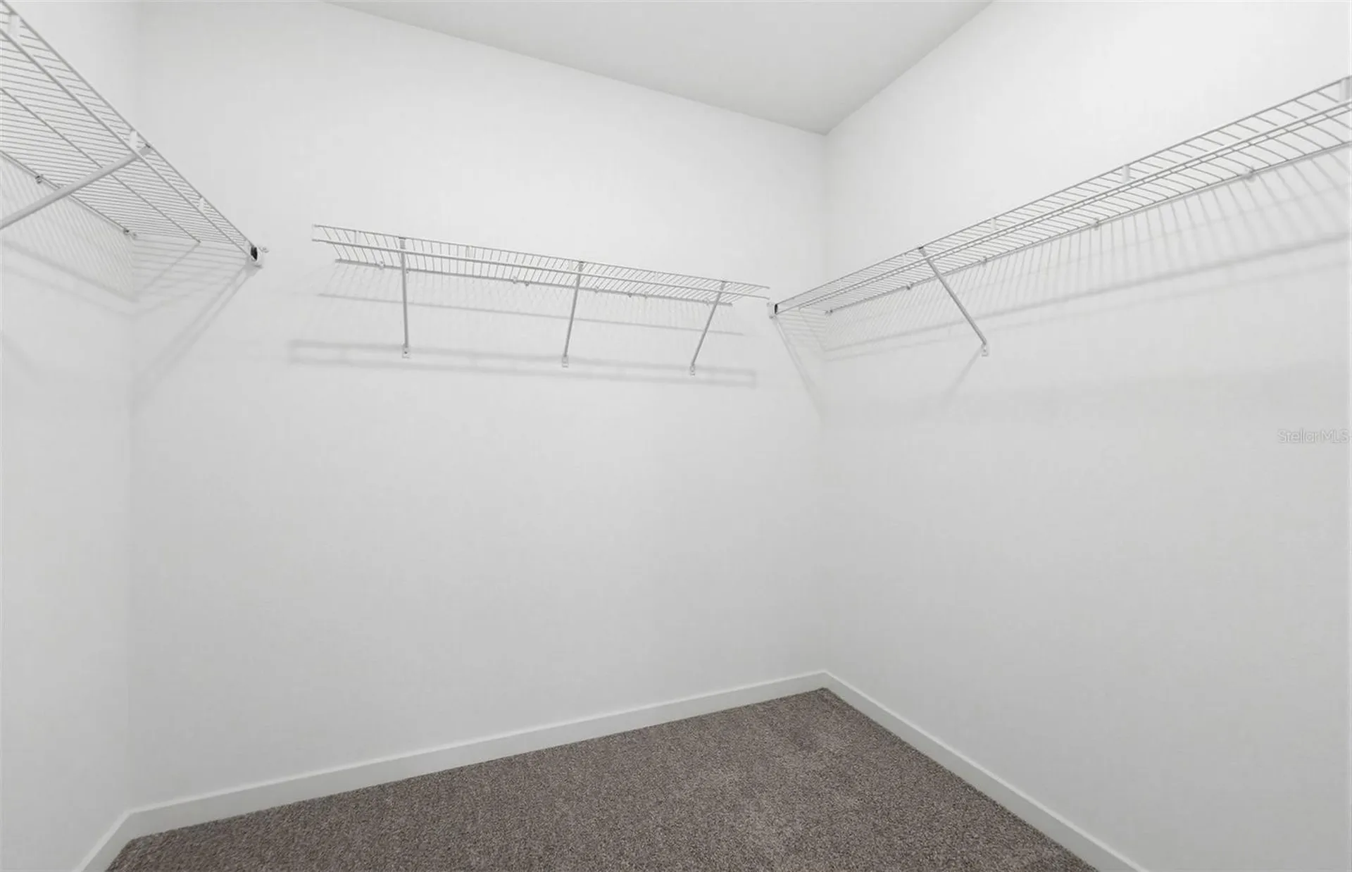 33391 Binding Ties Lane Wesley Chapel FL 33545
