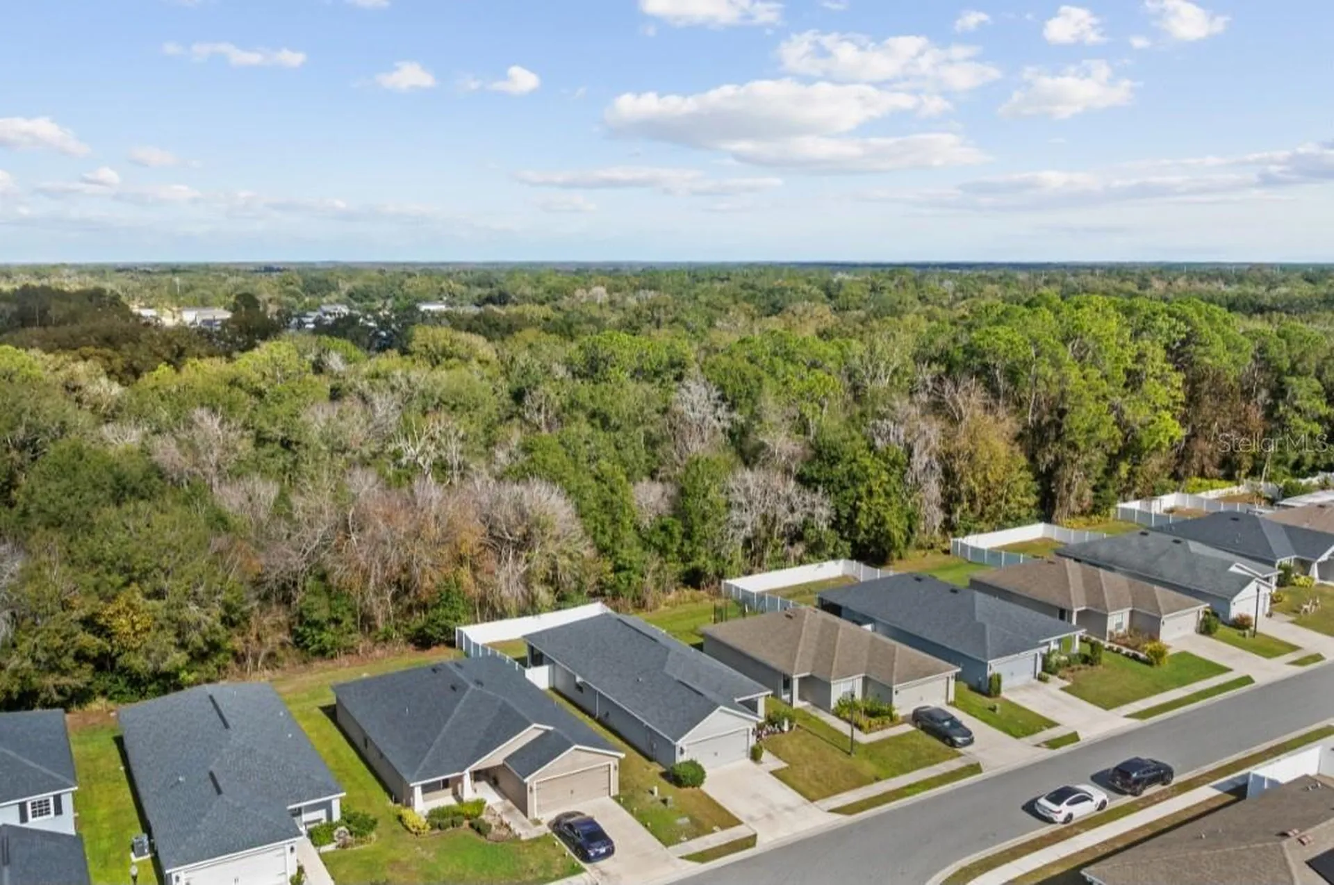 979 Pearly Ridge Lane Lakeland FL 33809