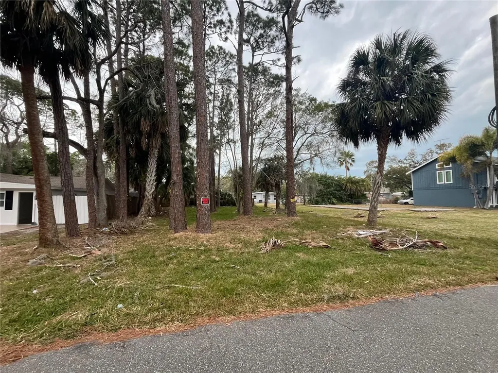 7119-7121 Oakwood New Port Richey FL 34652
