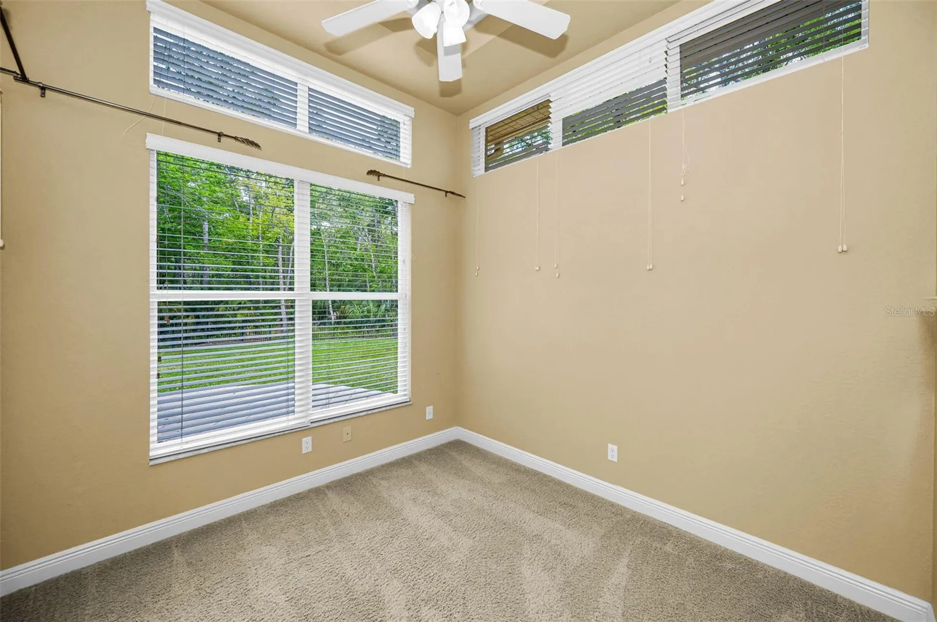2270 Christy Lane Oldsmar FL 34677