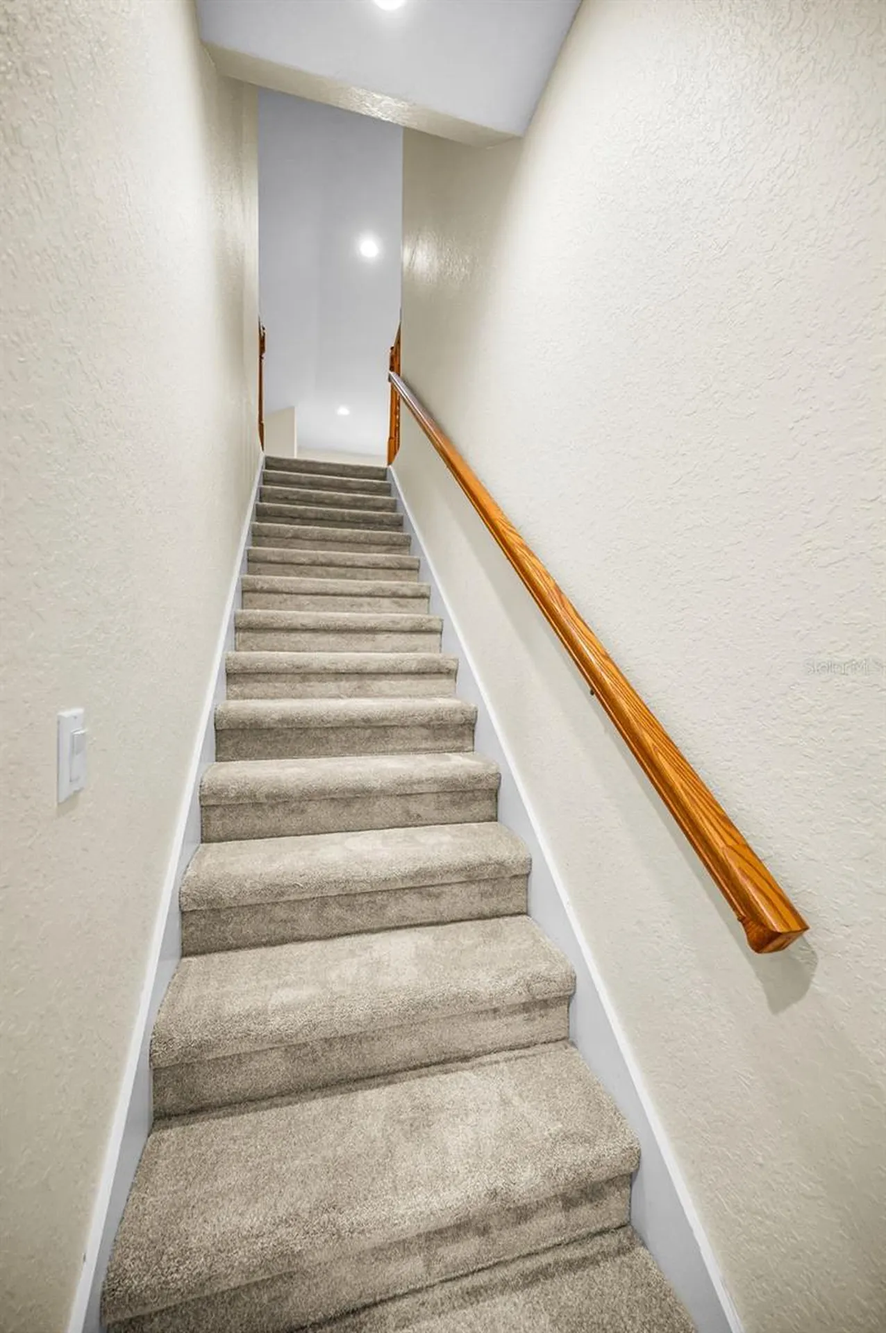2270 Christy Lane Oldsmar FL 34677