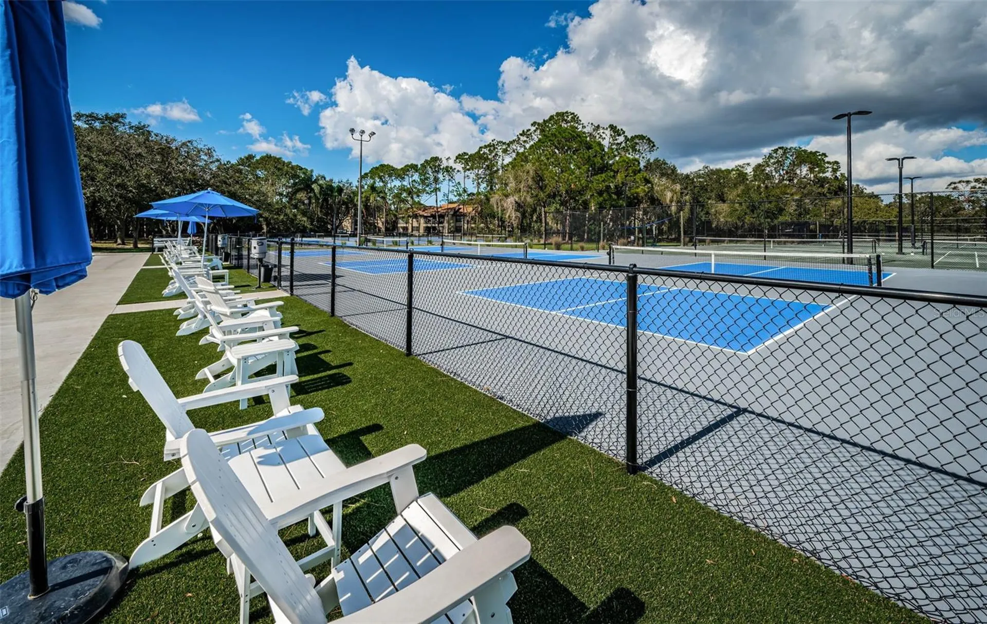 2270 Christy Lane Oldsmar FL 34677