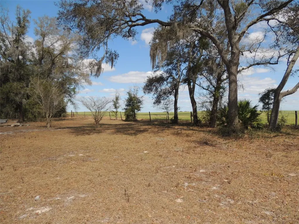 4551 SE 138th Terrace Morriston FL 32668