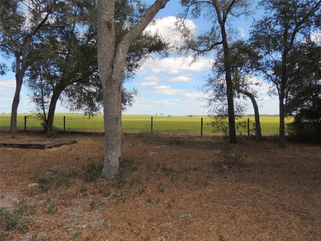 4551 SE 138th Terrace Morriston FL 32668
