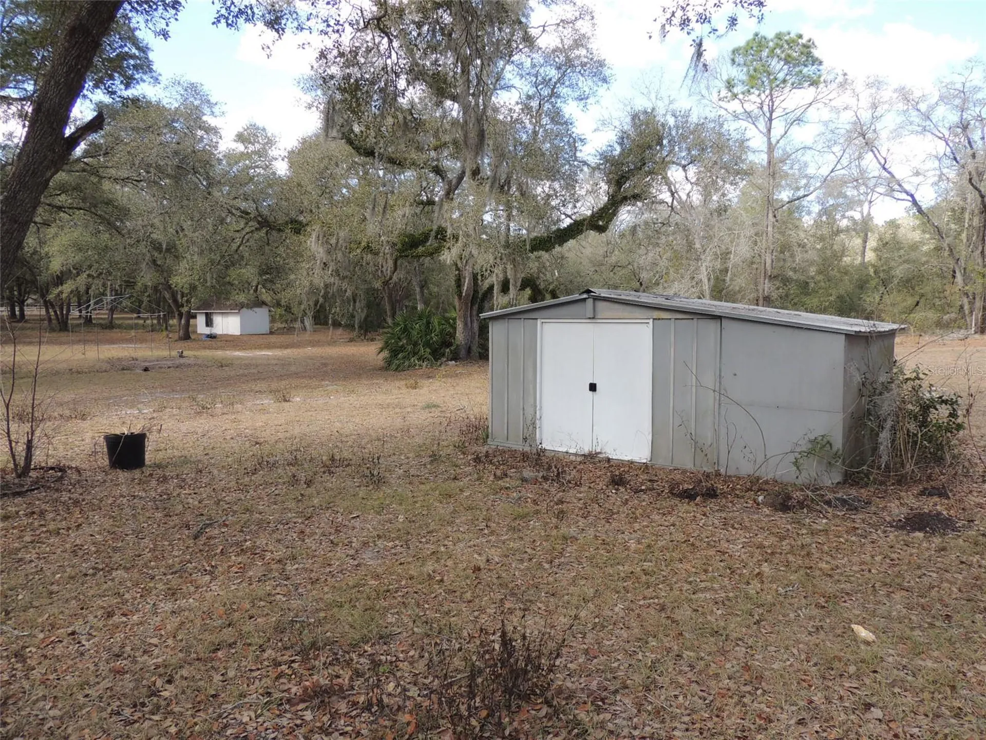 4551 SE 138th Terrace Morriston FL 32668