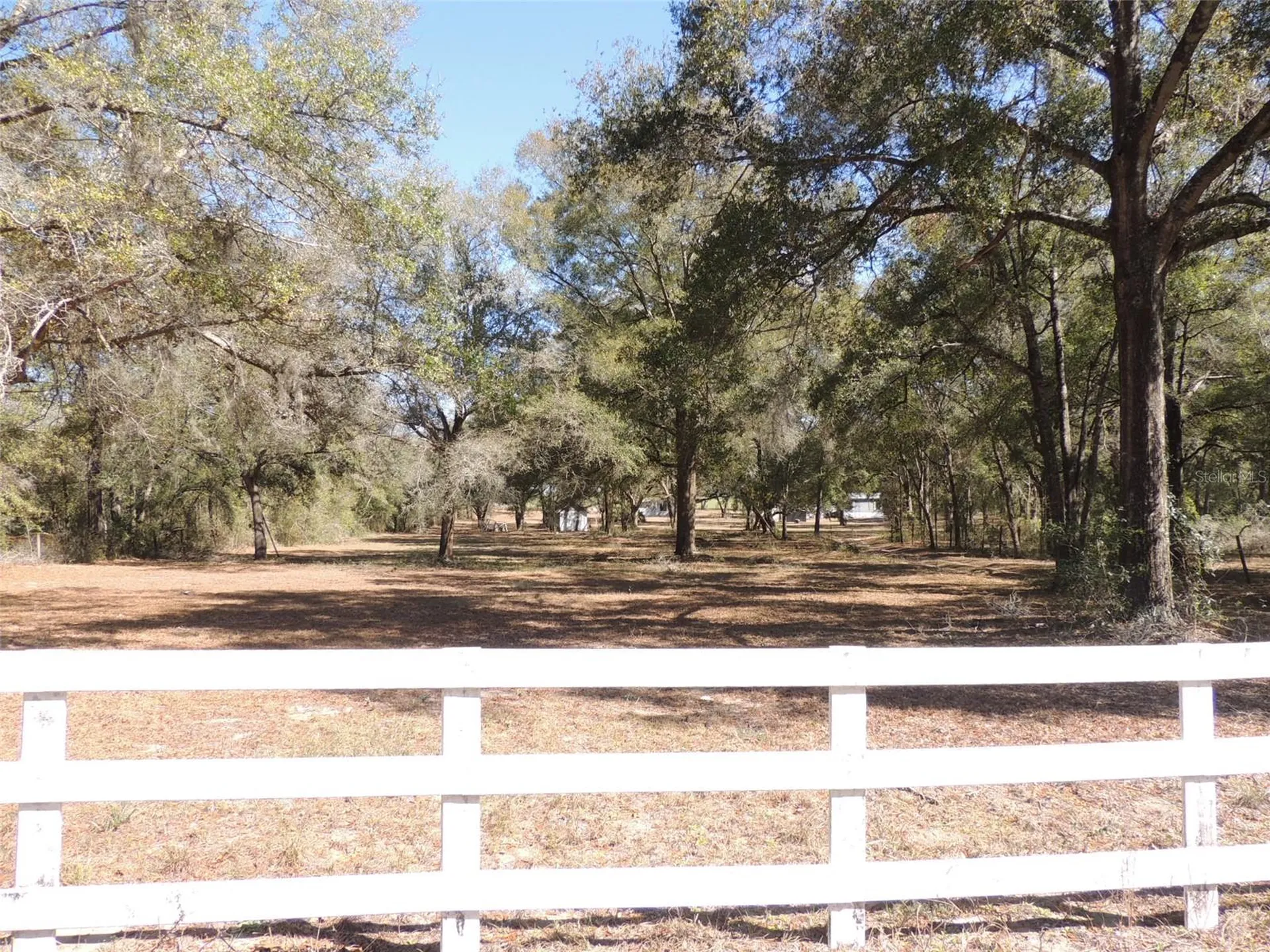4551 SE 138th Terrace Morriston FL 32668