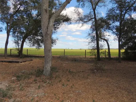 4551 SE 138th Terrace Morriston FL 32668