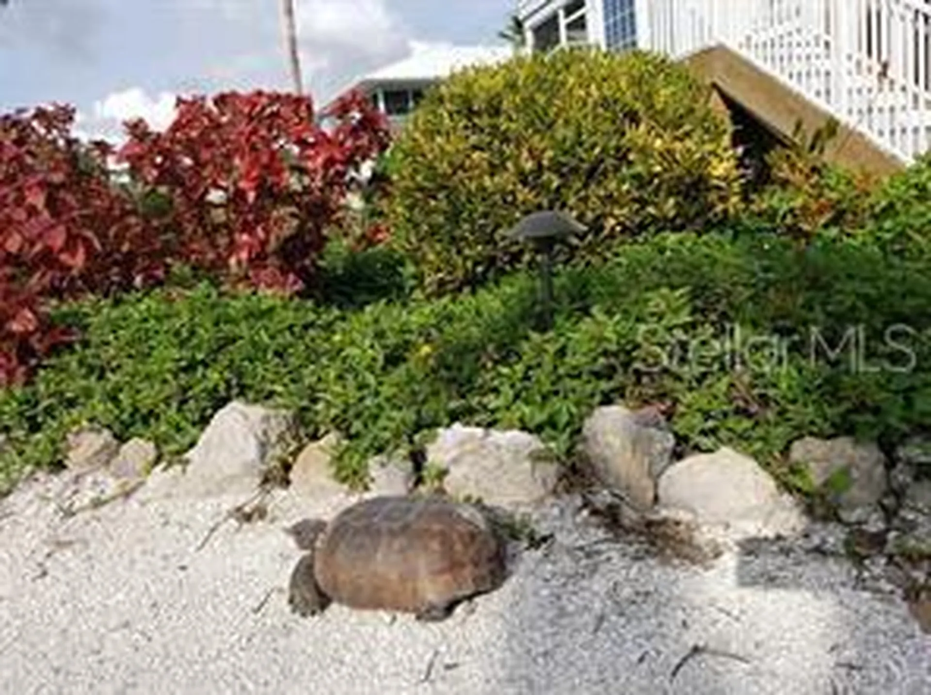 7454 Palm Island Drive Placida FL 33946