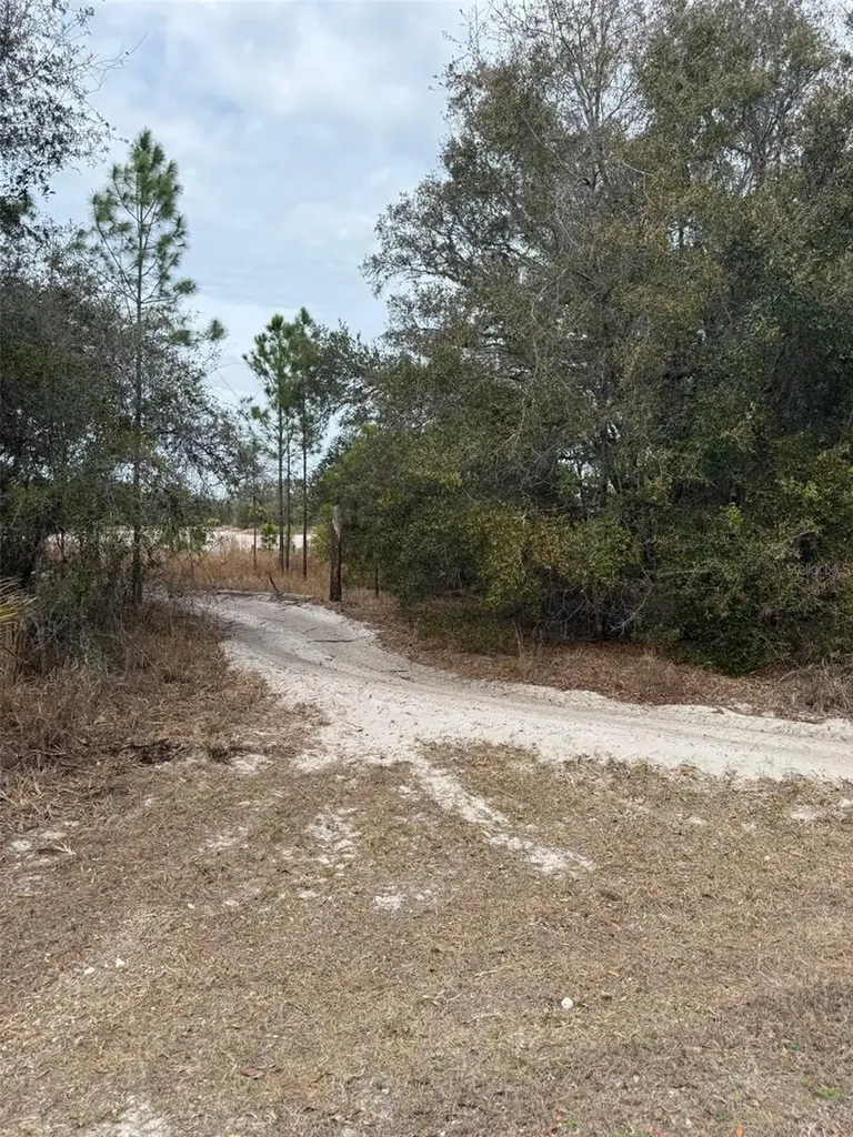 8309 N Odyssey Drive Crystal River FL 34428