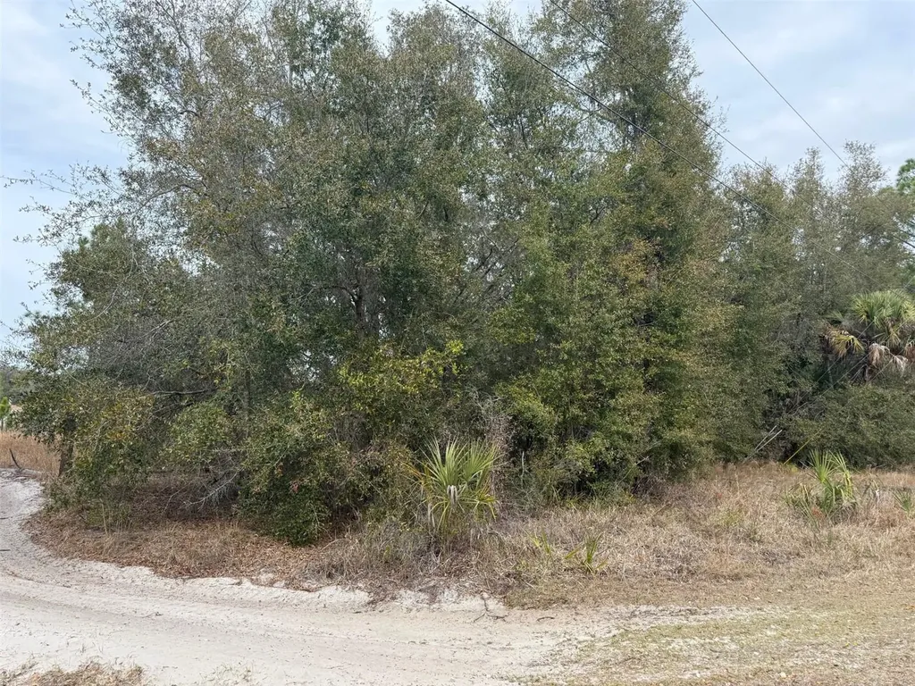 8309 N Odyssey Drive Crystal River FL 34428