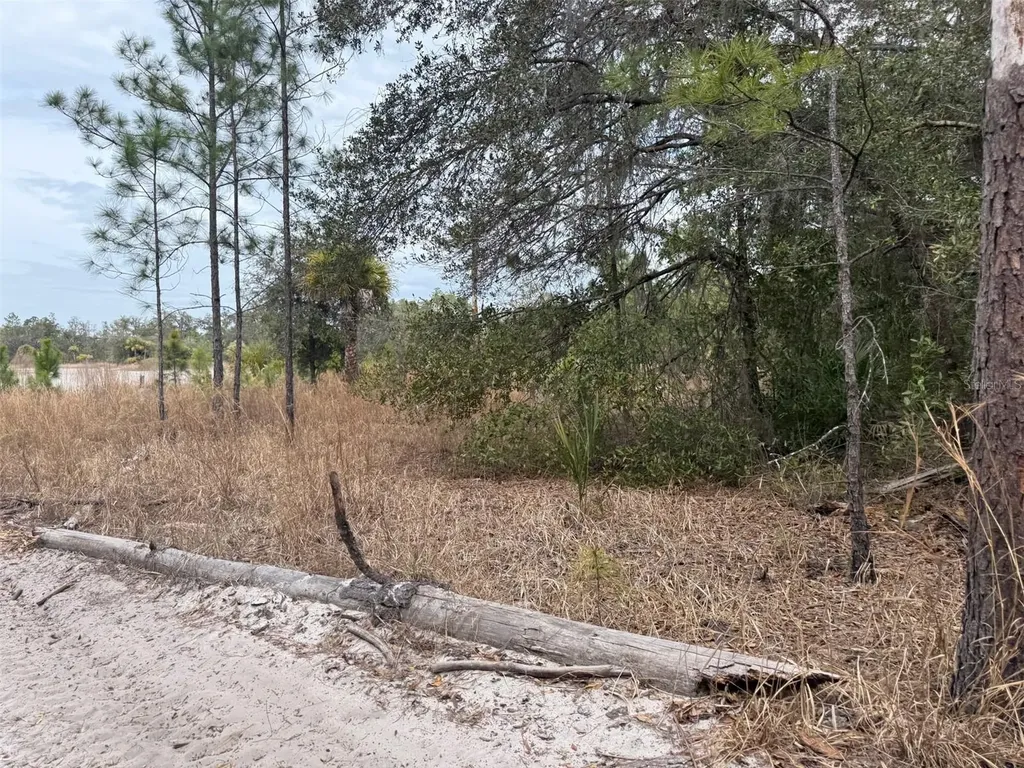 8309 N Odyssey Drive Crystal River FL 34428