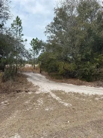 8309 N Odyssey Drive Crystal River FL 34428