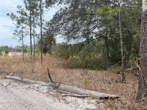 8309 N Odyssey Drive Crystal River FL 34428