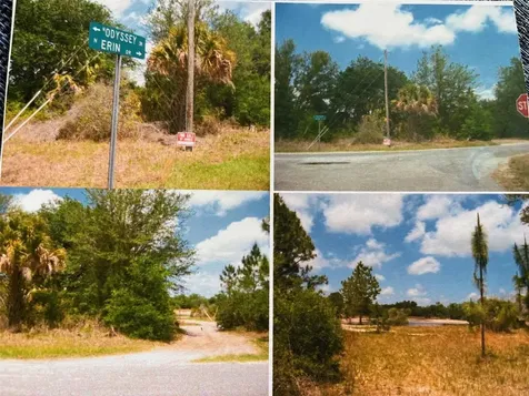8309 N Odyssey Drive Crystal River FL 34428