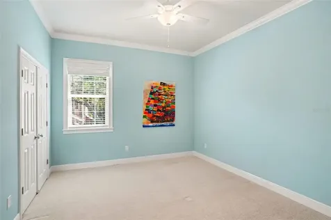 3014 W Waverly Avenue Tampa FL 33629