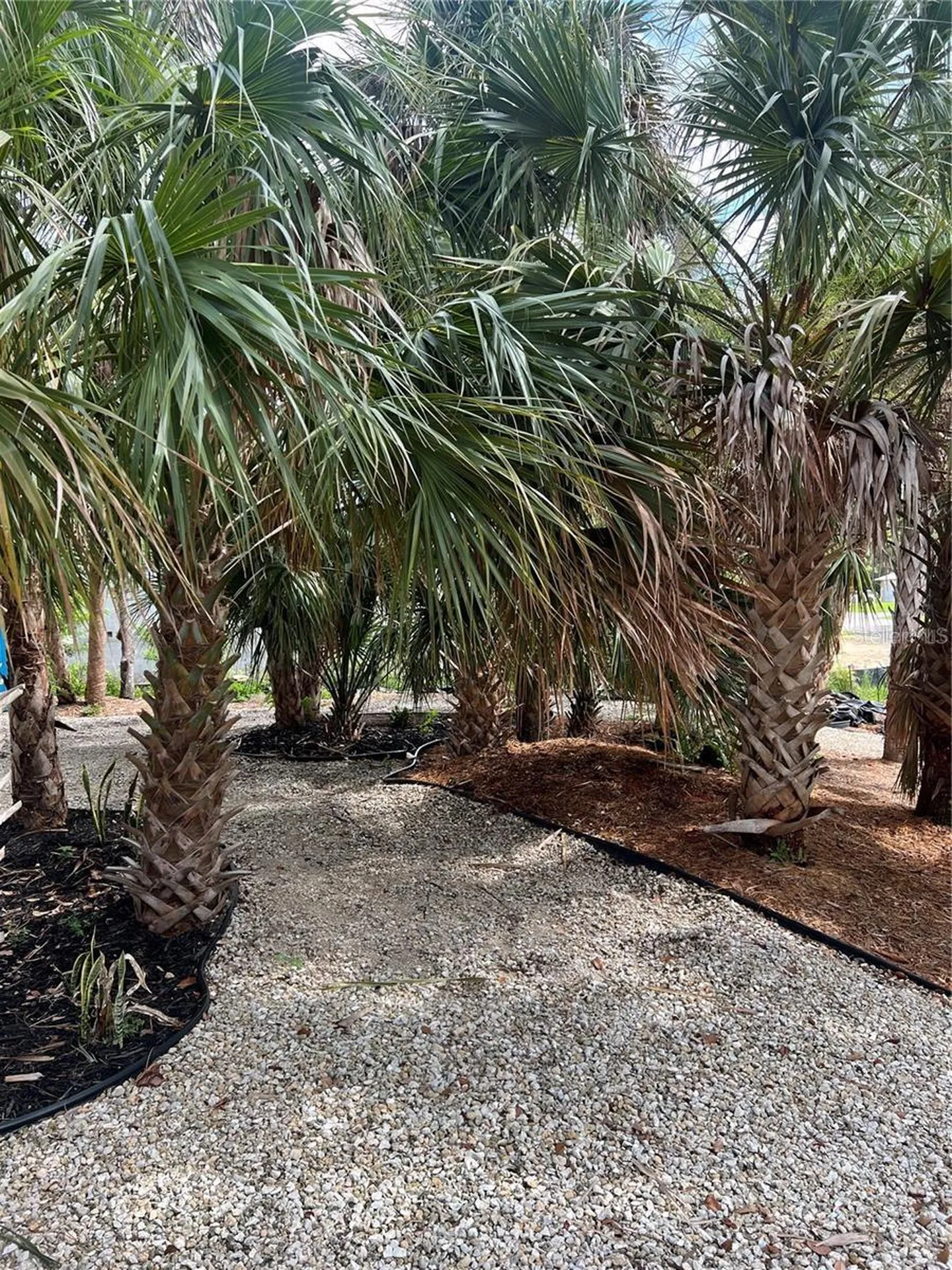 141 Hoffer Street Port Charlotte FL 33953