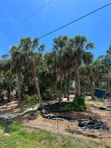 141 Hoffer Street Port Charlotte FL 33953