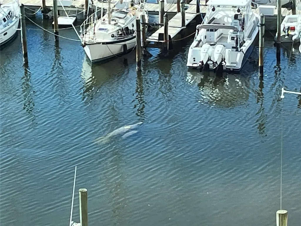 237 Islamorada Boulevard Punta Gorda FL 33955