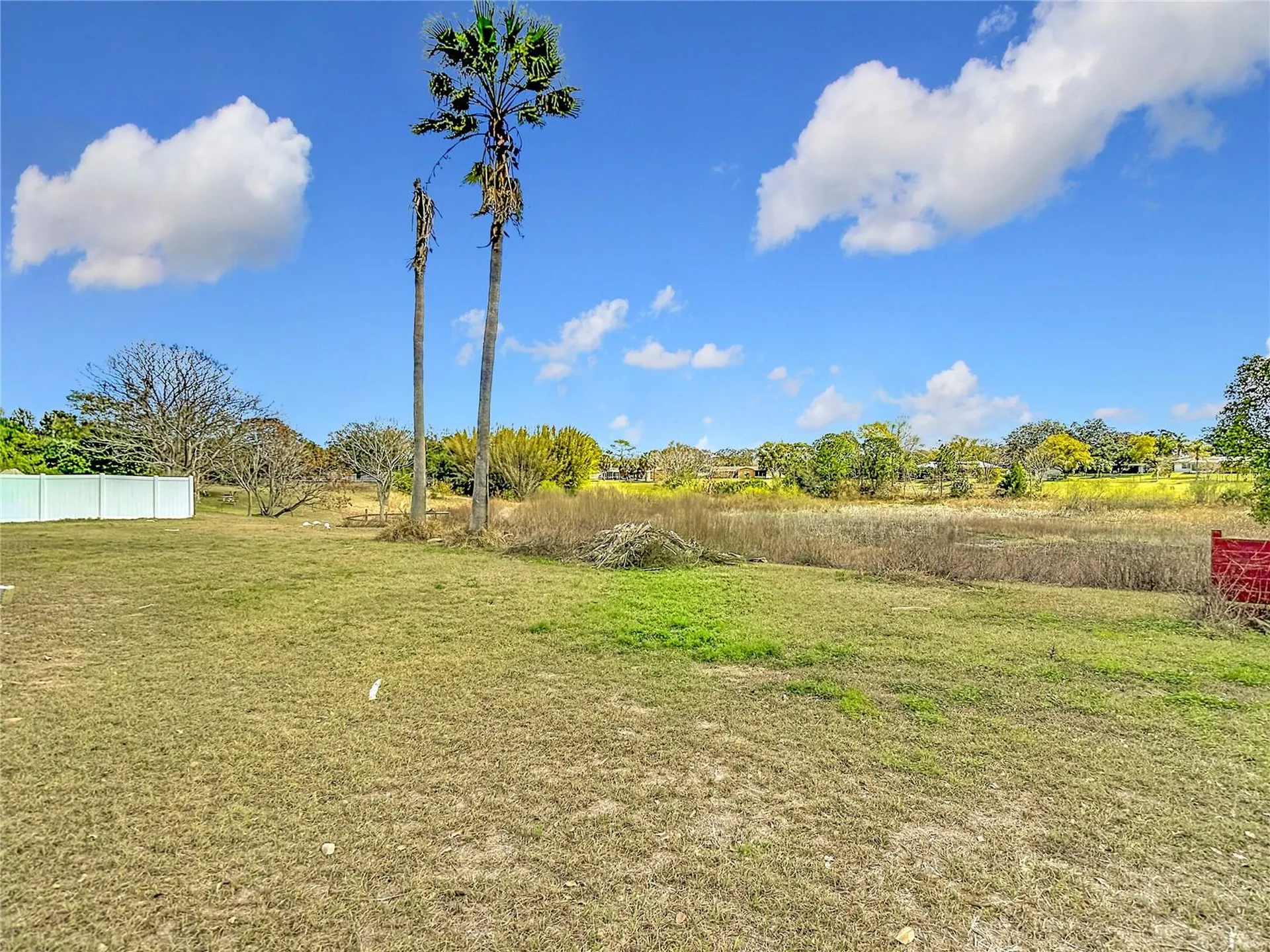 1128 Trellis Avenue Spring Hill FL 34606