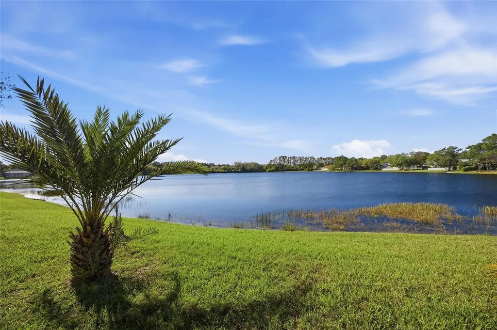 5112 Pheasant Woods Drive Lutz FL 33558