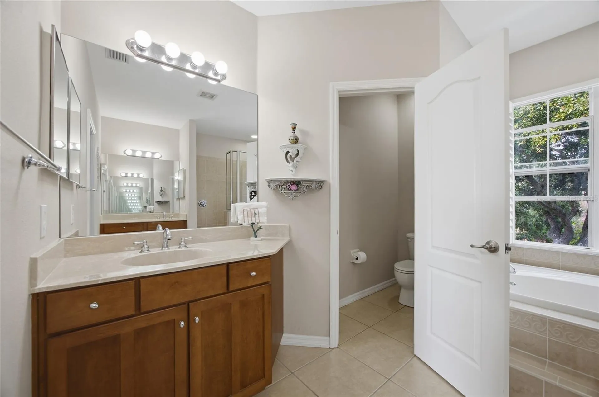 5112 Pheasant Woods Drive Lutz FL 33558