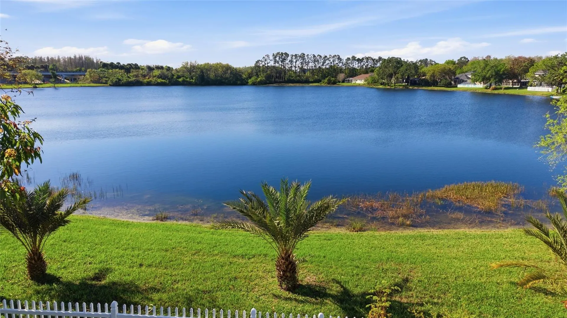5112 Pheasant Woods Drive Lutz FL 33558