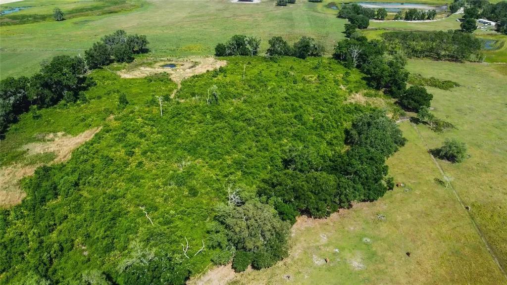 SE 51st Lane Center Hill FL 33514