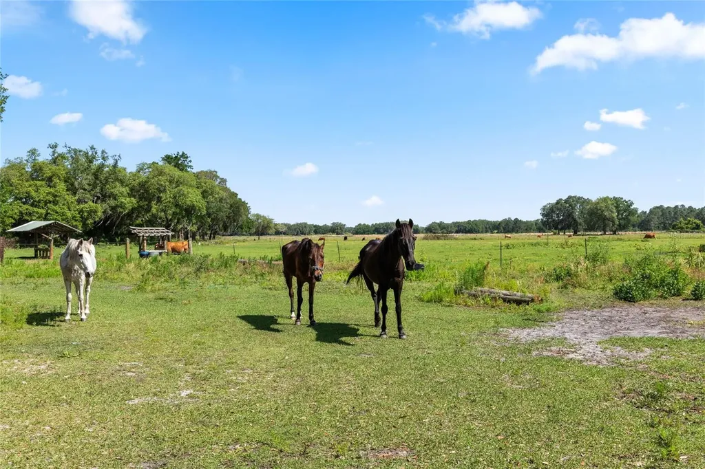 SE 51st Lane Center Hill FL 33514