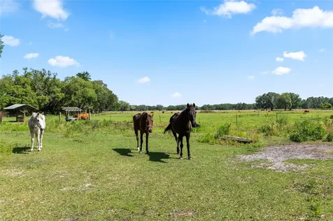 SE 51st Lane Center Hill FL 33514