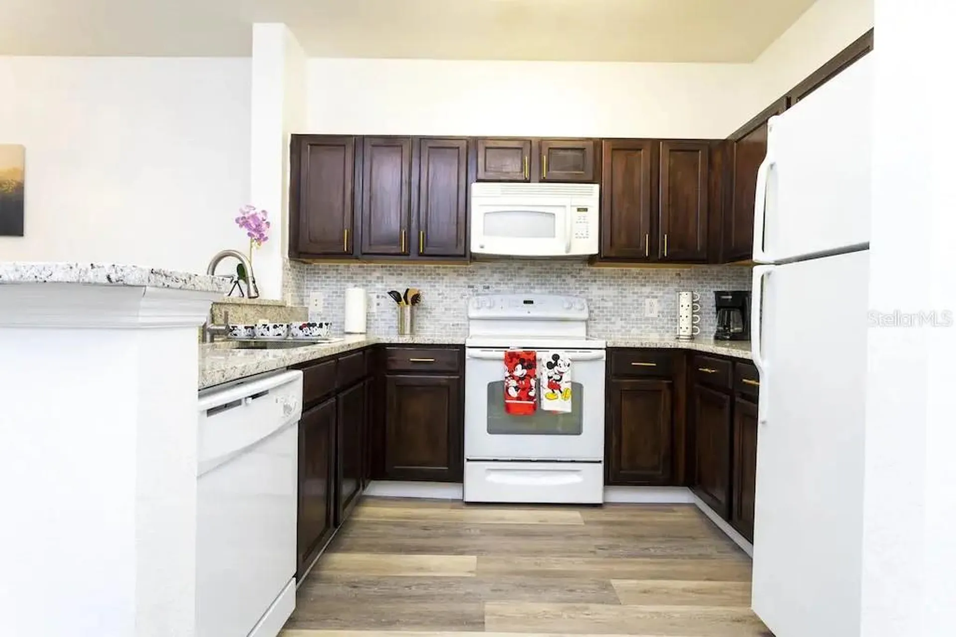3176 Feltrim Place Kissimmee FL 34747