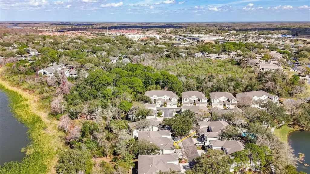 3589 Country Pointe Place Palm Harbor FL 34684