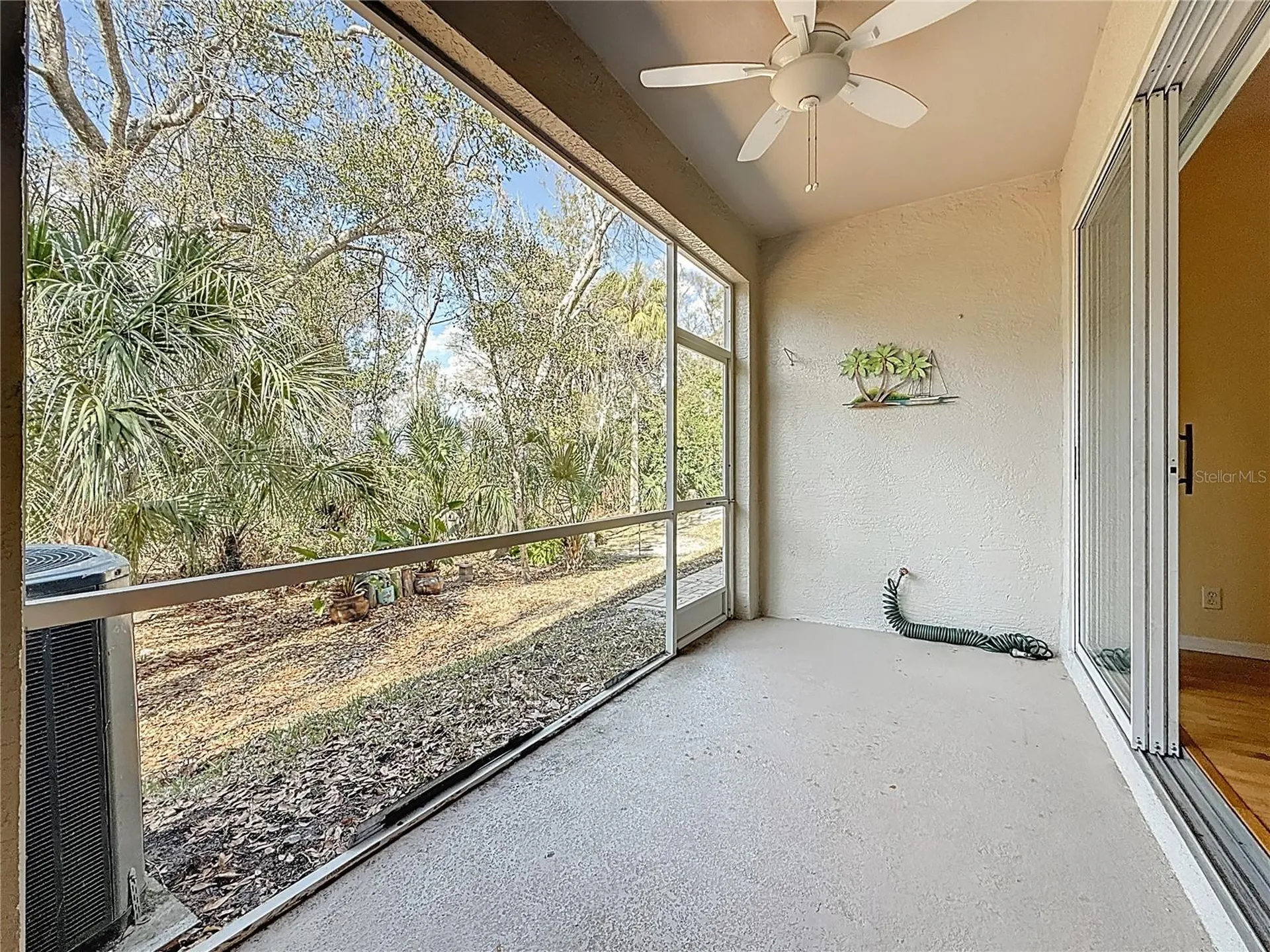 3589 Country Pointe Place Palm Harbor FL 34684