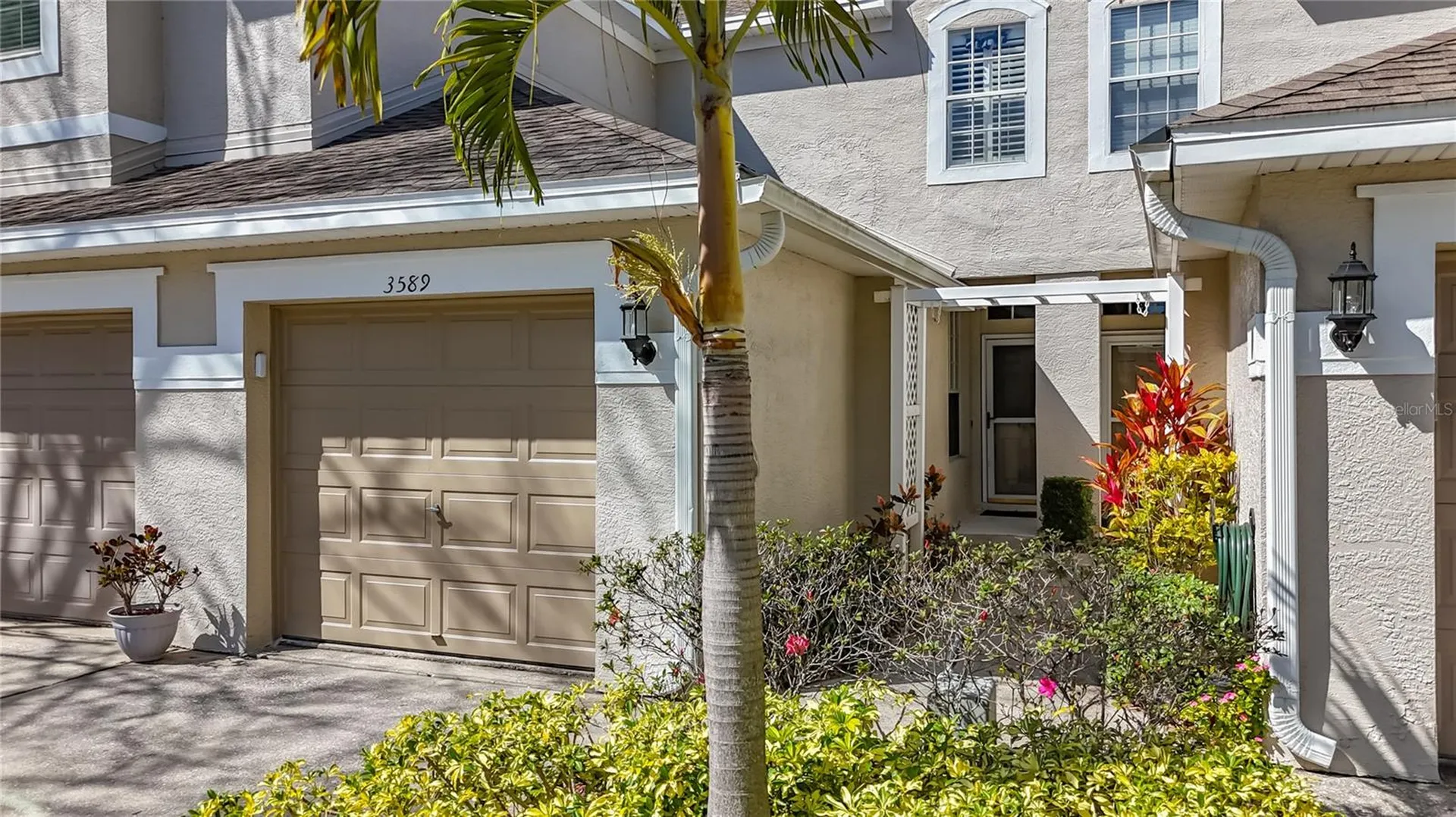 3589 Country Pointe Place Palm Harbor FL 34684