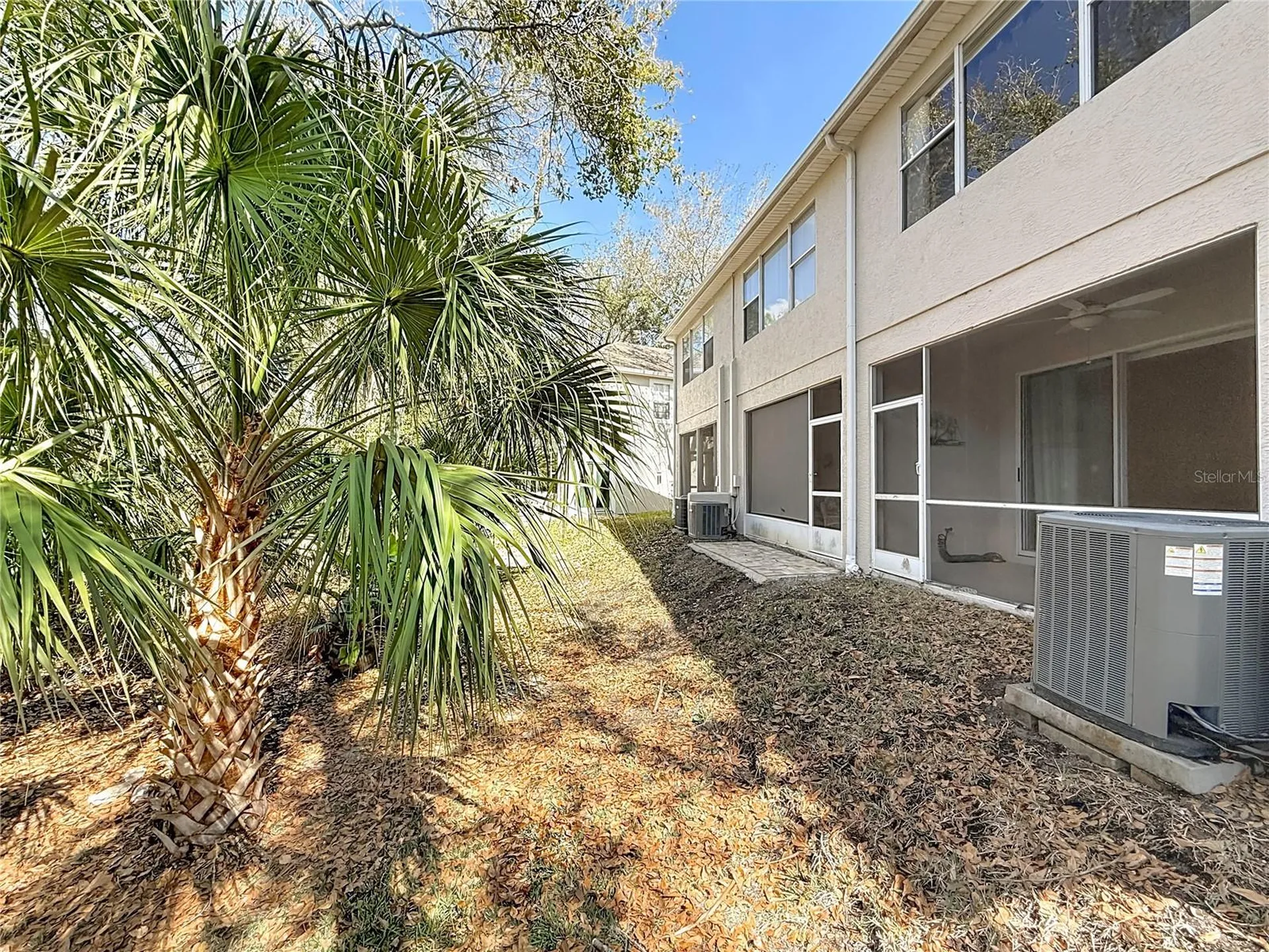 3589 Country Pointe Place Palm Harbor FL 34684