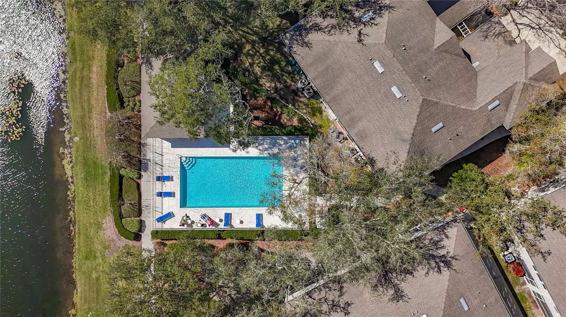 3589 Country Pointe Place Palm Harbor FL 34684