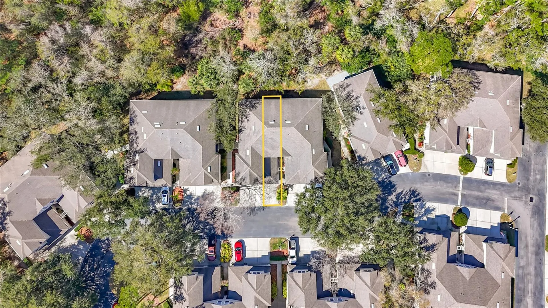 3589 Country Pointe Place Palm Harbor FL 34684