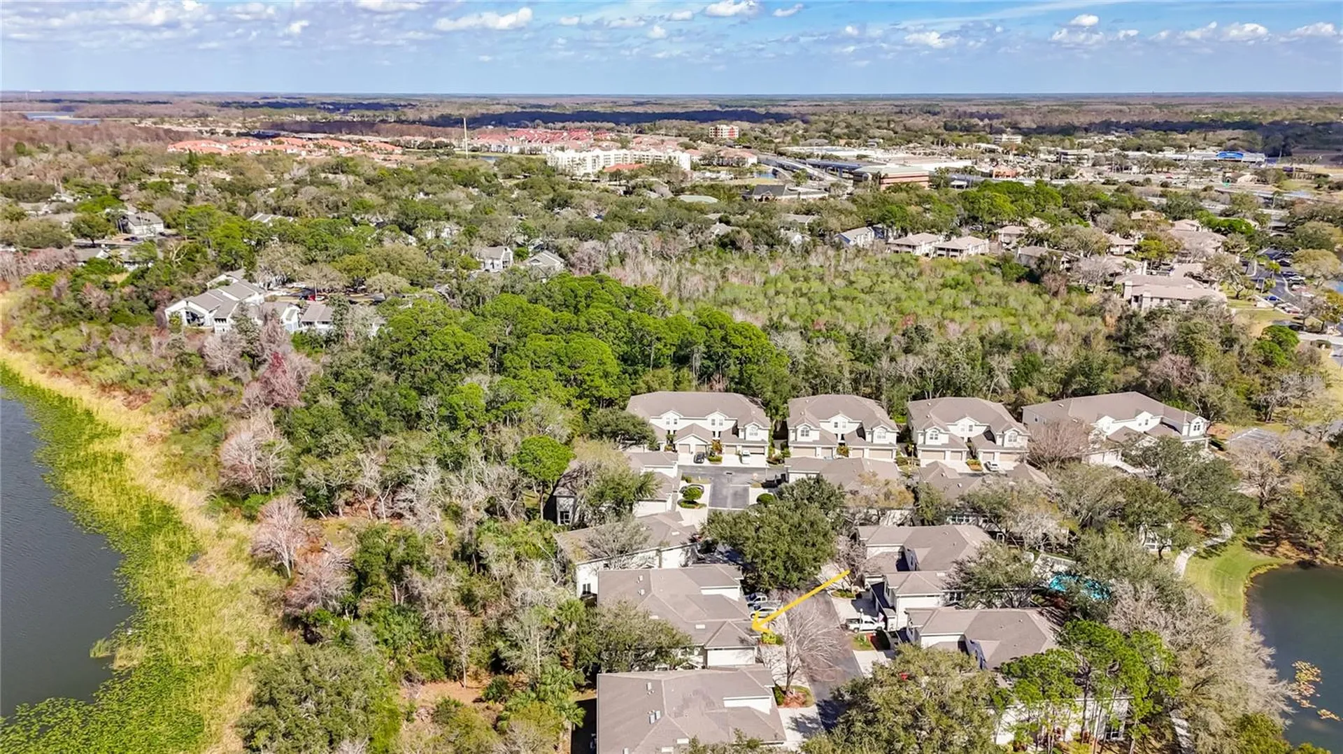 3589 Country Pointe Place Palm Harbor FL 34684