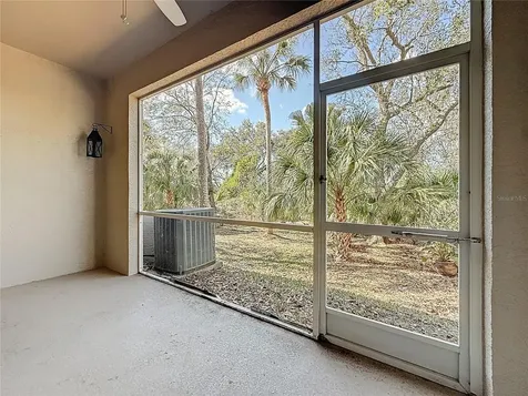 3589 Country Pointe Place Palm Harbor FL 34684