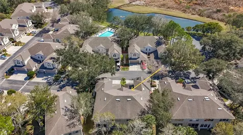 3589 Country Pointe Place Palm Harbor FL 34684