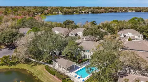 3589 Country Pointe Place Palm Harbor FL 34684
